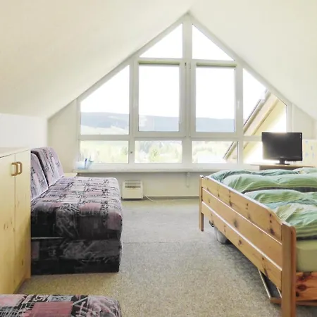 1 Bedroom Gorgeous In Eibenstock Ot Carlsfel *